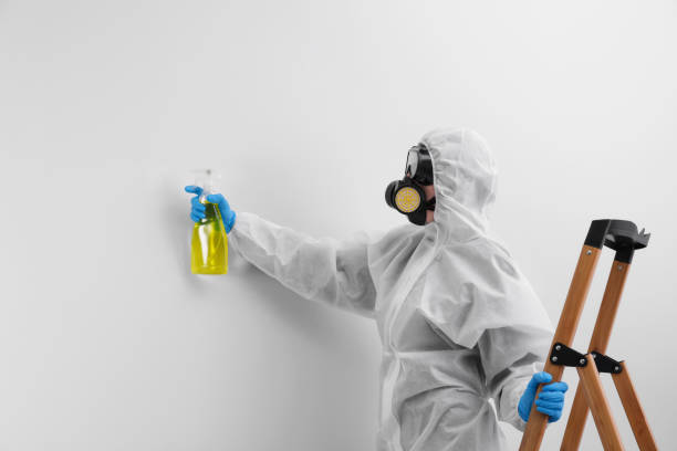 Best Biohazard Mold Removal in Warm Springs, OR